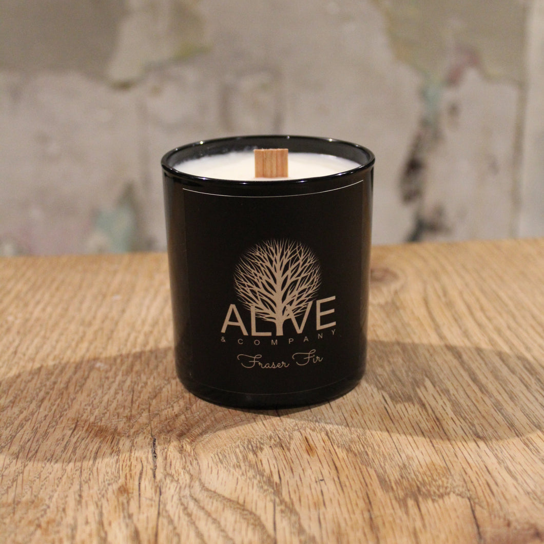 Alive and Company Scented Jar Candle - Fraser Fir, 11 Oz - Single